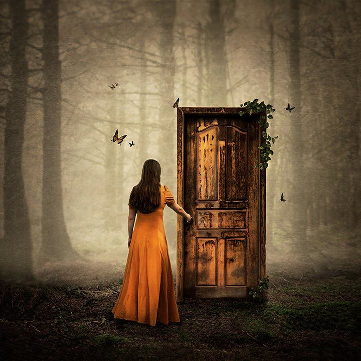 Michelle Mackie - 'As One Door Shuts....' - Framed Original Artwork