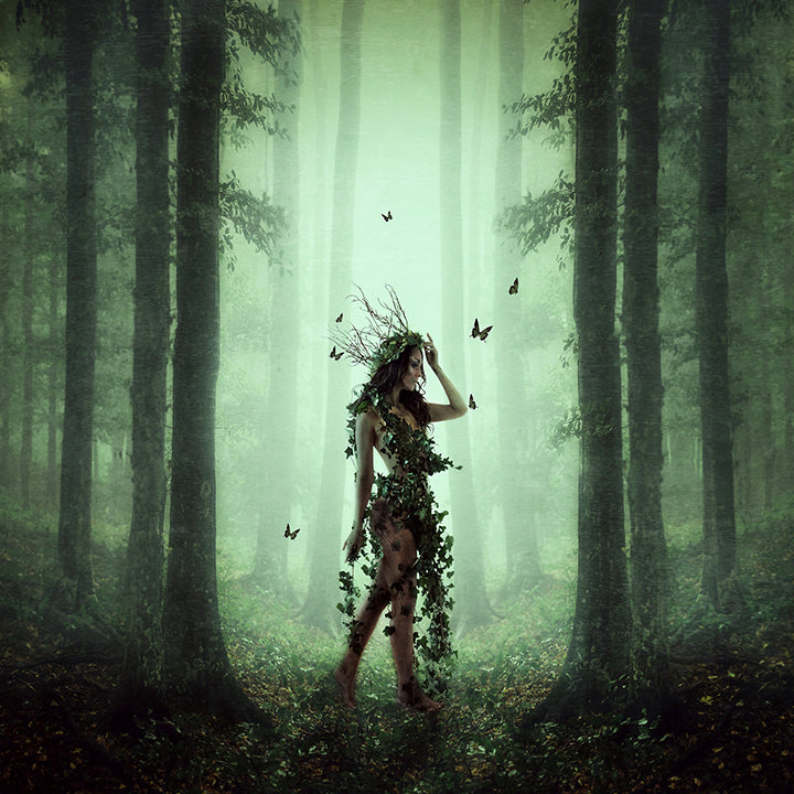 Michelle Mackie - 'Ivy' - Framed Original Artwork