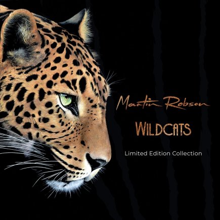 New Martin Robson Hyperrealism release.