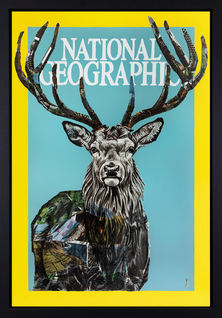 Chess - 'National Geographic' - Framed Original Artwork