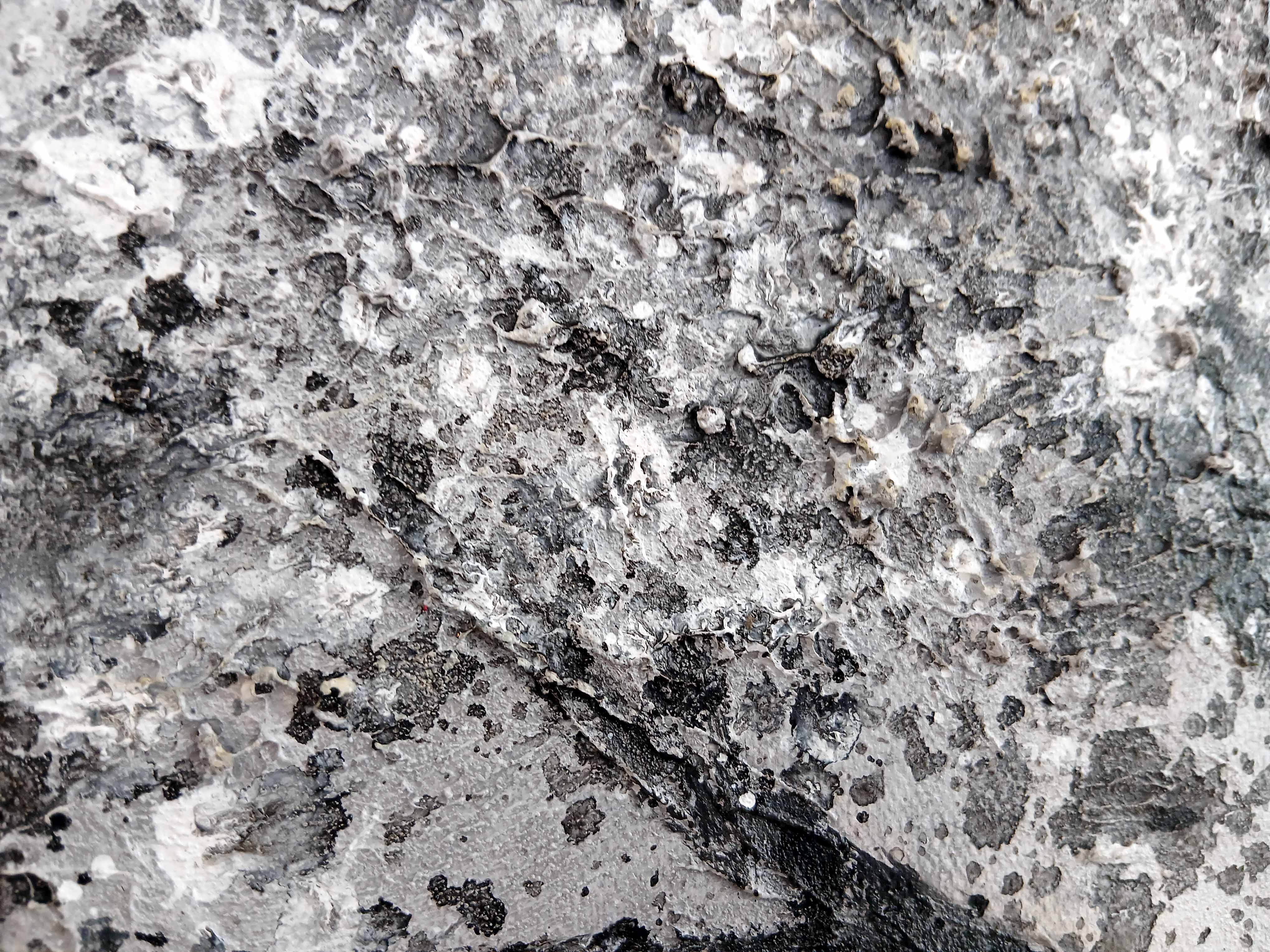 'Singular Tree' - Stretched Canvas Original Art