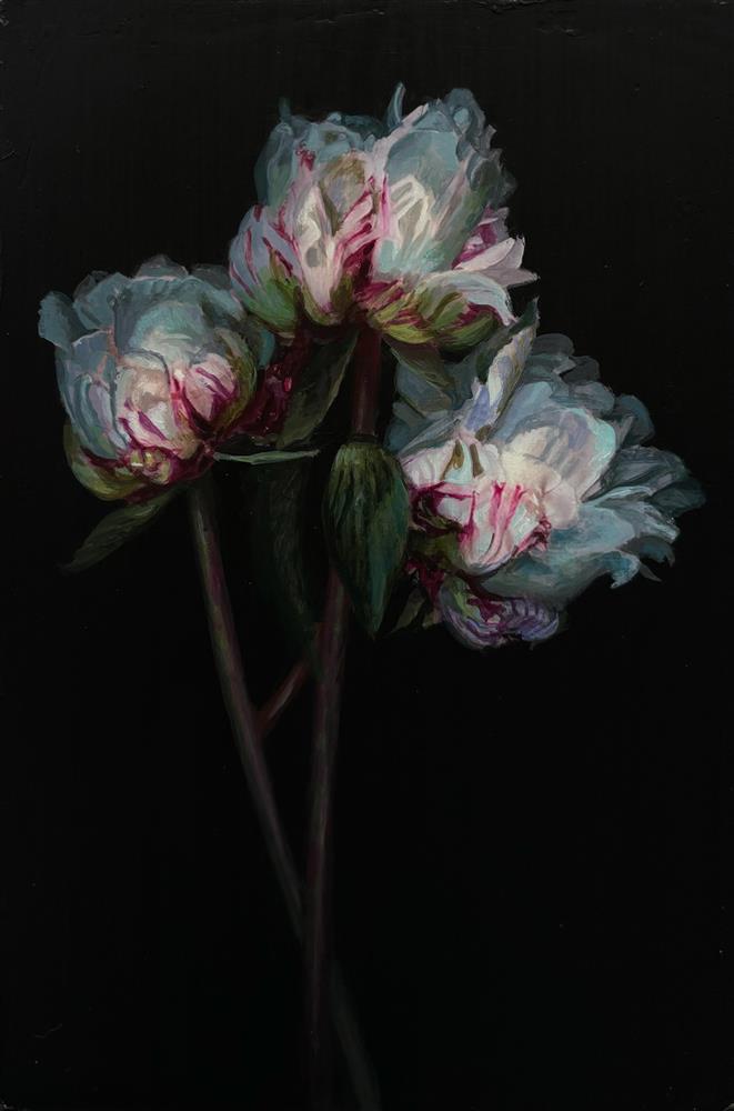 Rachele Dryden-Smith - '3 Peonies' - Framed Original Artwork