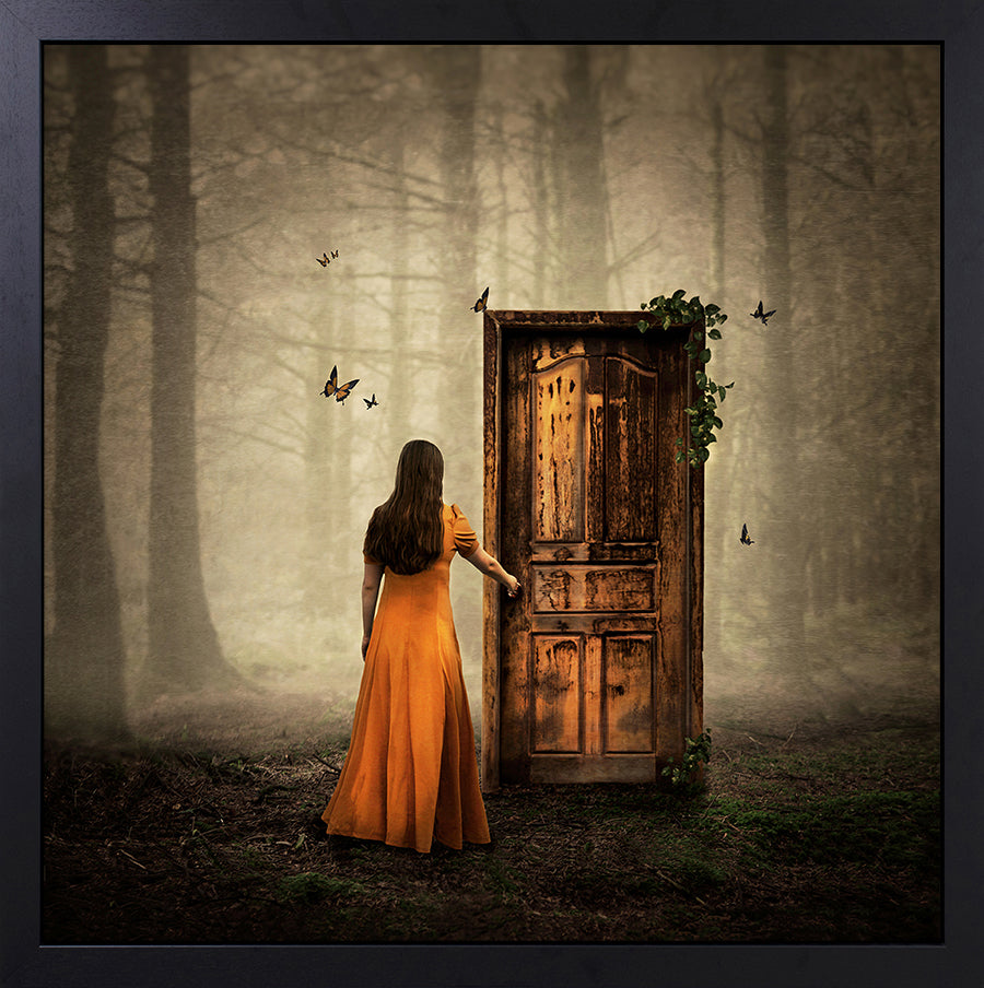 Michelle Mackie - 'As One Door Shuts....' - Framed Original Artwork