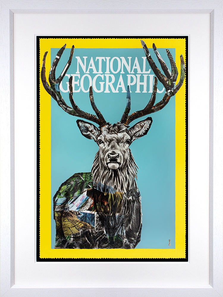 Chess - 'National Geographic' - Framed Limited Edition Print
