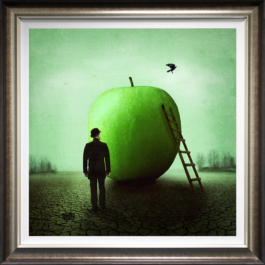 Michelle Mackie - 'Obscured' - Framed Limited Edition Art