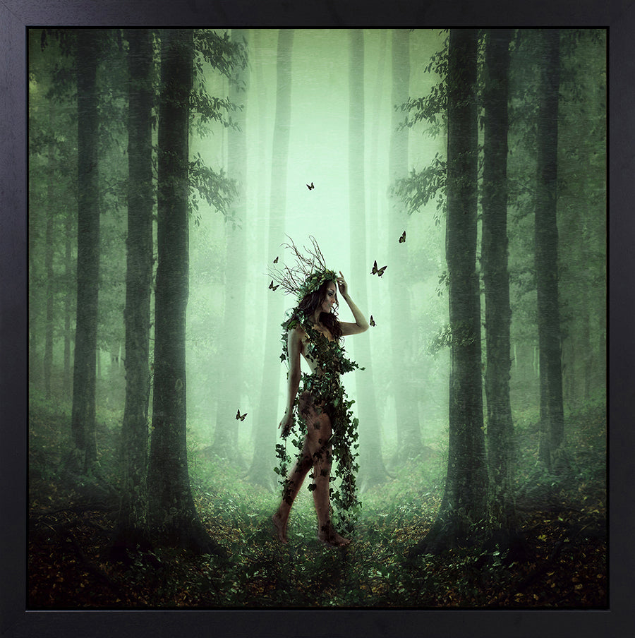 Michelle Mackie - 'Ivy' - Framed Original Artwork