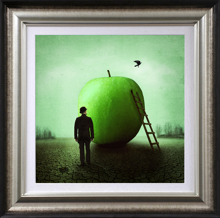 Michelle Mackie - 'Obscured' - Framed Limited Edition Art