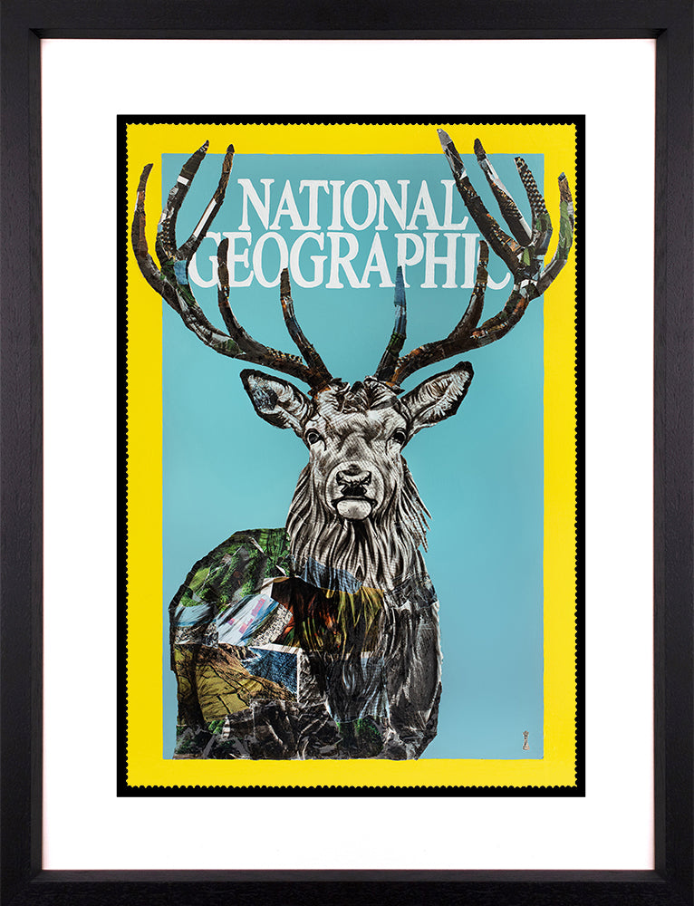 Chess - 'National Geographic' - Framed Limited Edition Print