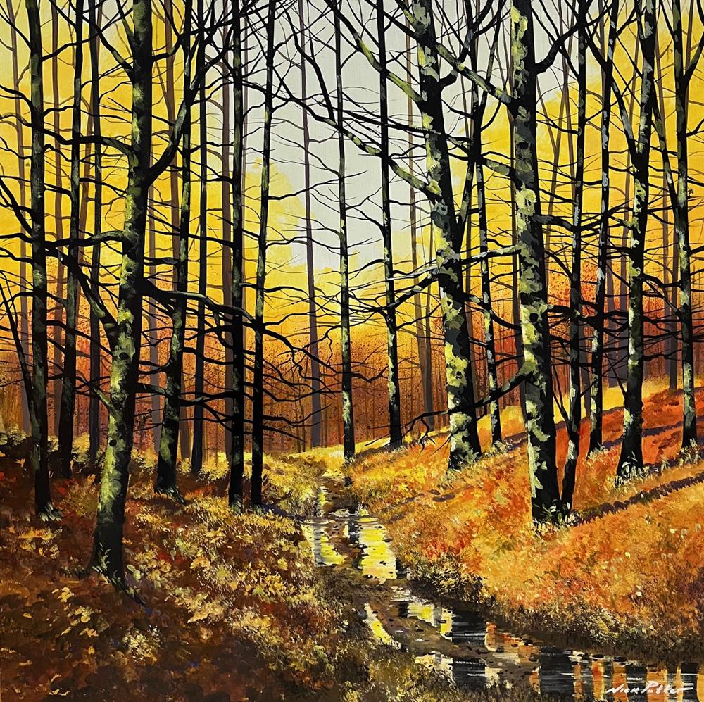 Nick Potter - 'Autumn Glow' - Framed Original