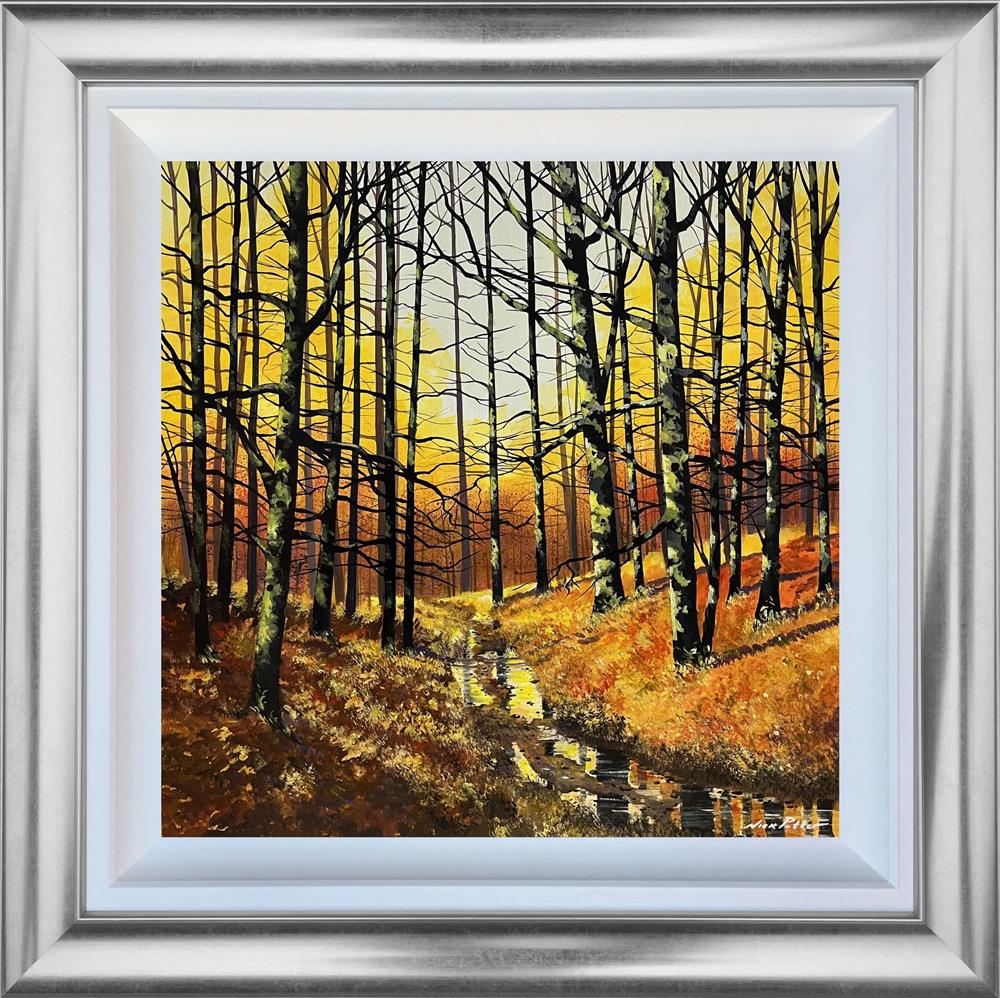 Nick Potter - 'Autumn Glow' - Framed Original