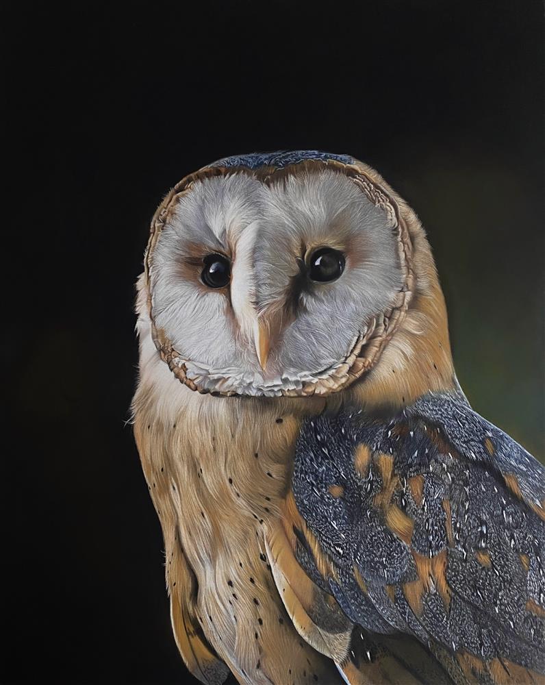 Clare Parkes - 'Barn Owl At Twilight' - Framed Original