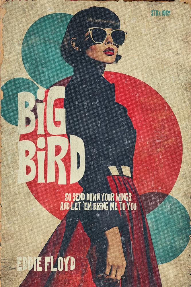 Linda Charles - 'Big Bird' - Framed Original Artwork