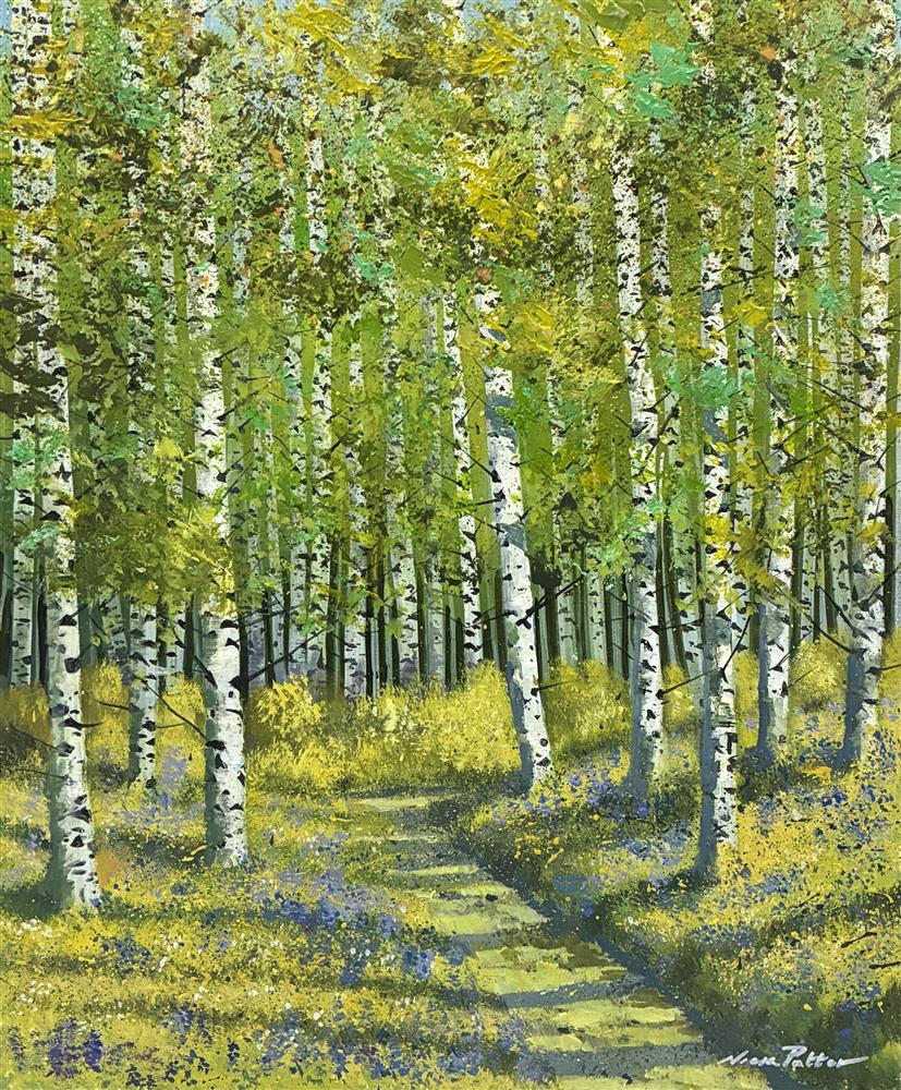 Nick Potter - 'Birchwood Land' - Framed Original Artwork