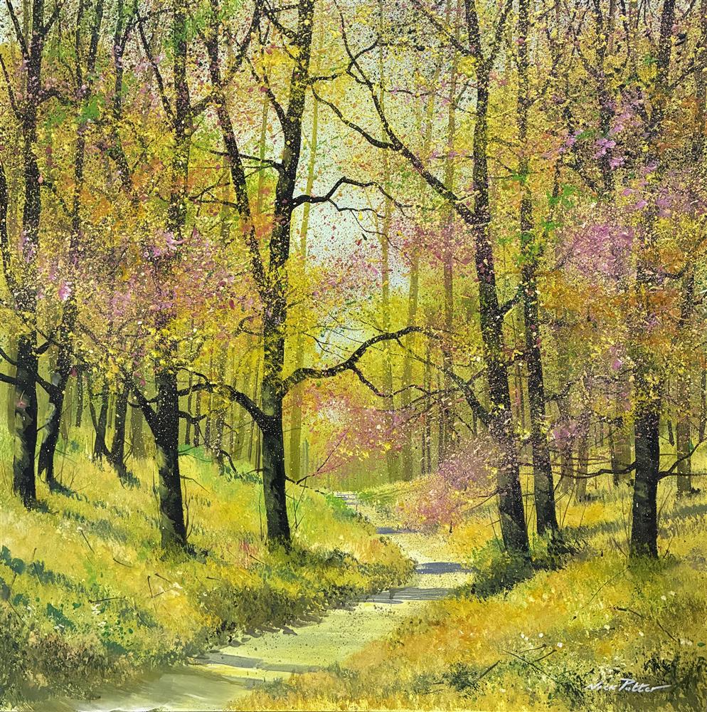 Nick Potter - 'Early Spring Blossom' - Framed Original Artwork