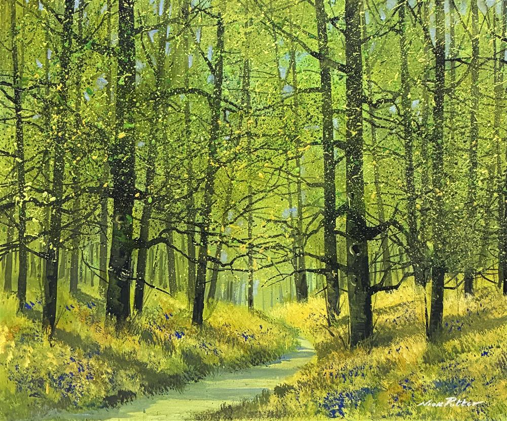 Nick Potter - 'Early Spring Sunshine' - Framed Original Artwork