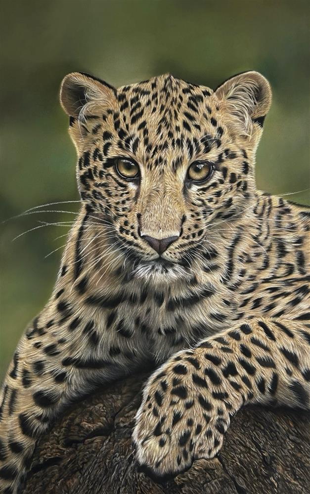 Clare Parkes - 'Eyes Of The Wild' - Framed Original Artwork