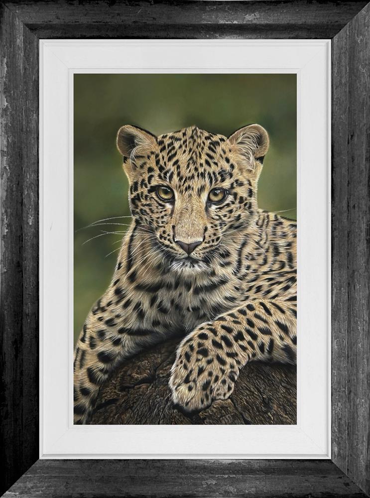 Clare Parkes - 'Eyes Of The Wild' - Framed Original Artwork