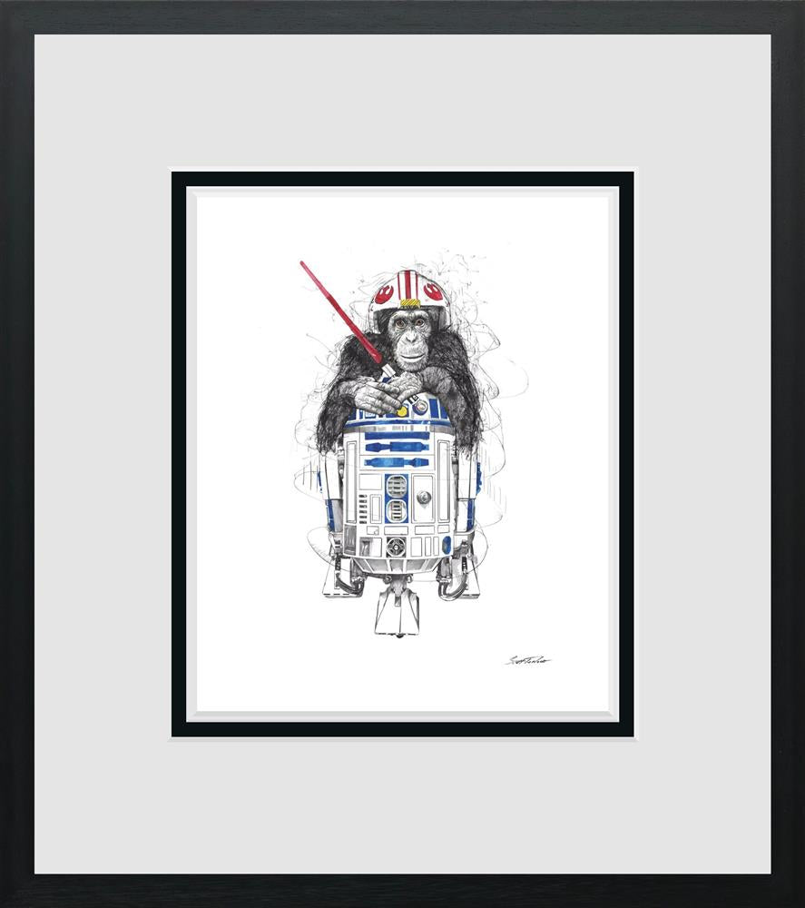 Scott Tetlow - 'Feel The Force' - Miniature - Framed Limited Edition