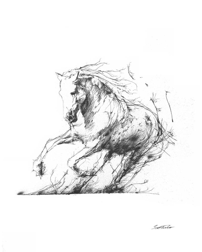 Scott Tetlow - 'Freedom' - Miniature - Framed Limited Edition Print