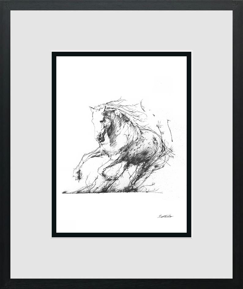 Scott Tetlow - 'Freedom' - Miniature - Framed Limited Edition Print