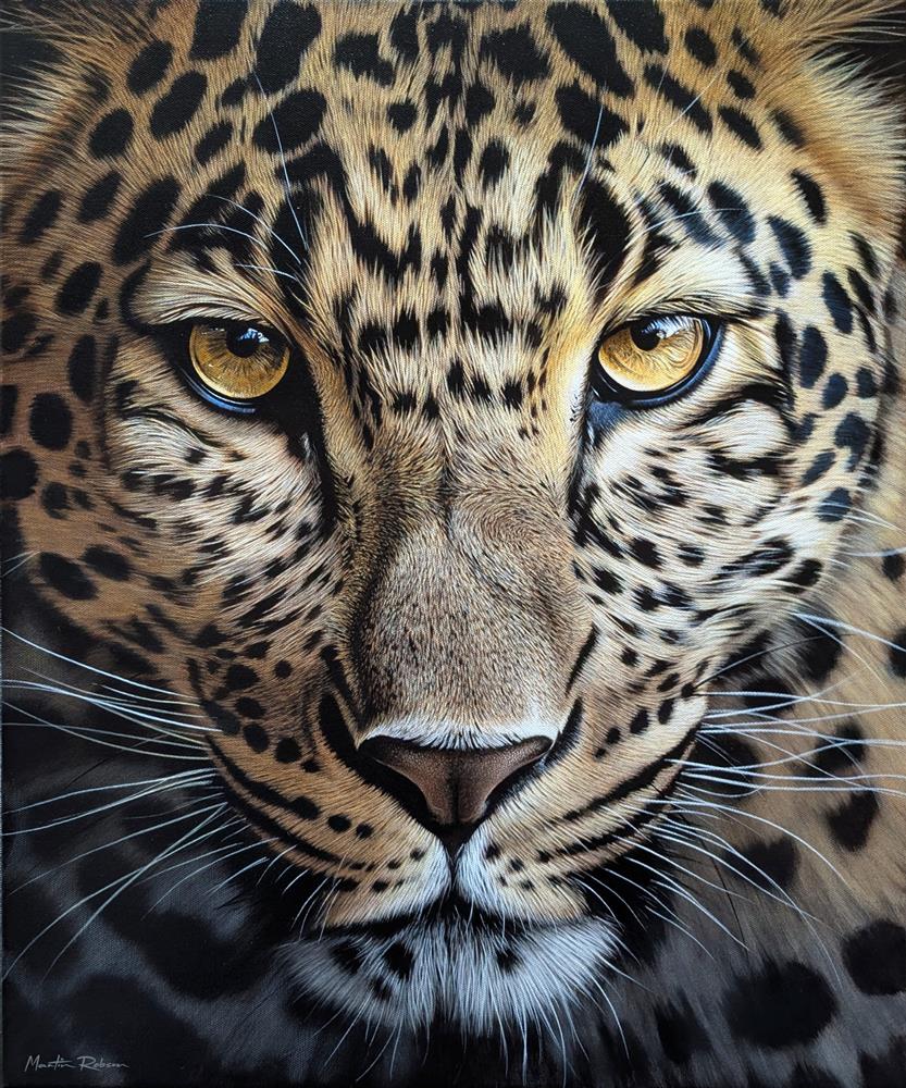 Martin Robson - 'Golden Gaze' - Framed Original Artwork