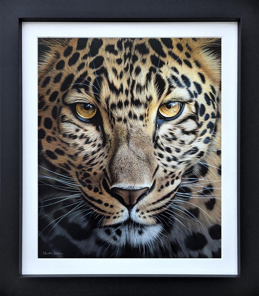 Martin Robson - 'Golden Gaze' - Framed Original Artwork