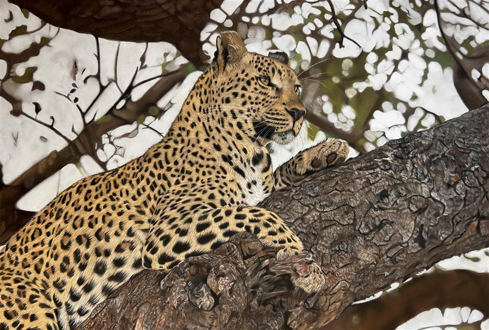 Clare Parkes - 'King Of The Canopy' - Framed Original Artwork