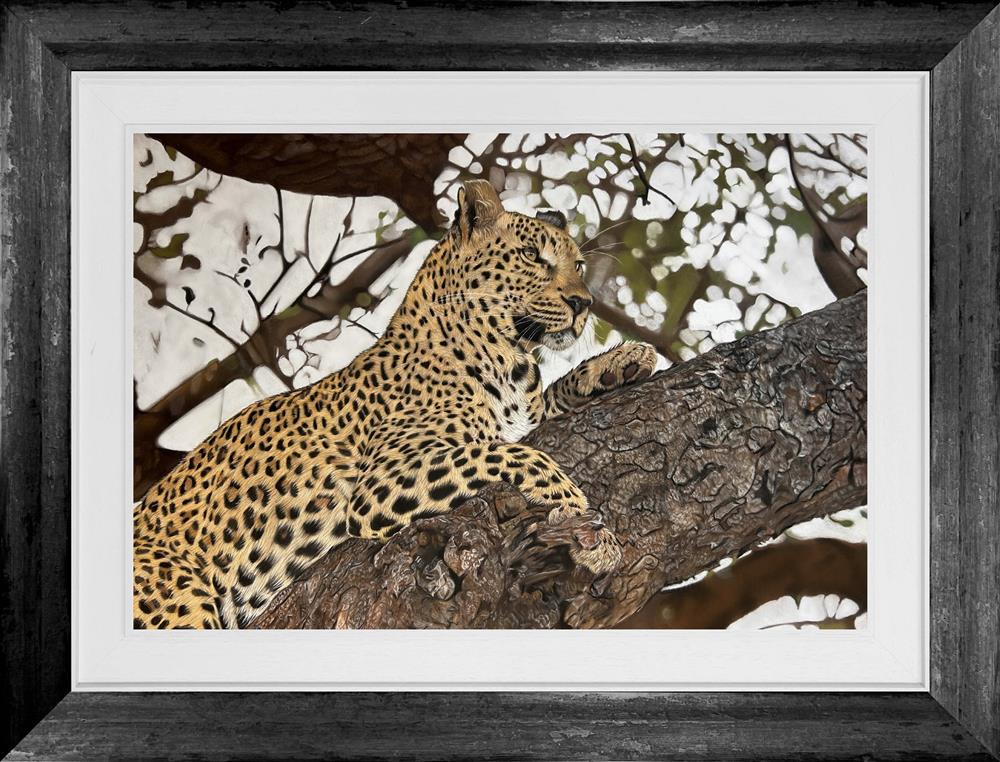 Clare Parkes - 'King Of The Canopy' - Framed Original Artwork