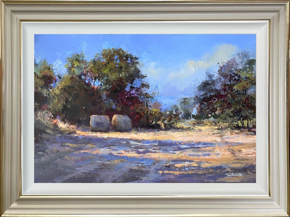 Tony Hinchliffe - 'Last Summer' - Framed Original Art