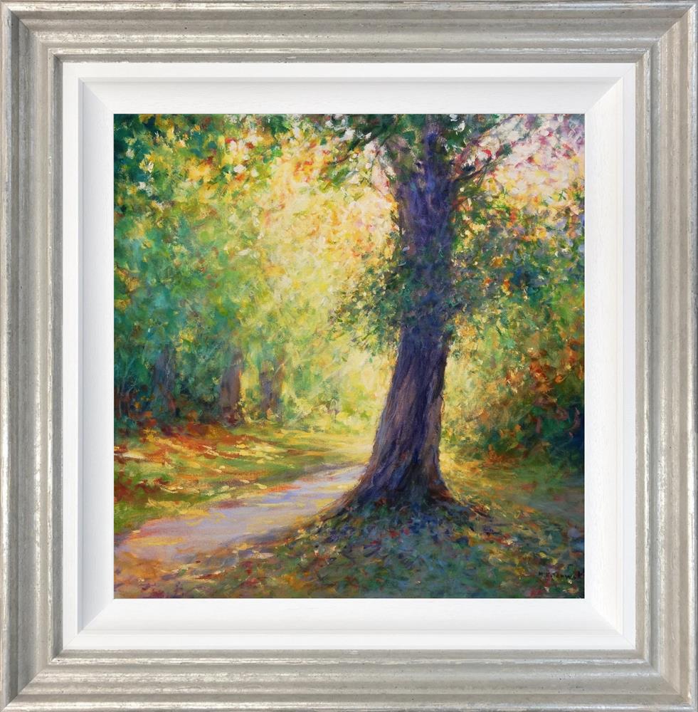 Mariusz Kaldowski - 'Light Behind An Oak Tree' - Framed Original Art