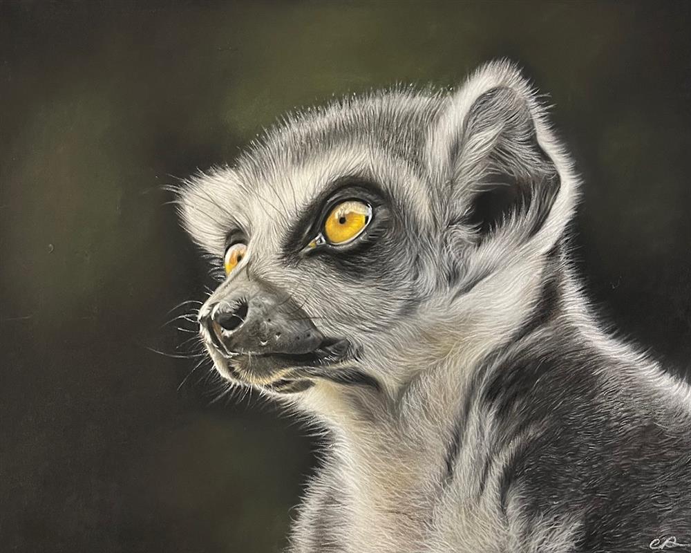 Clare Parkes - 'Night Watch' - Framed Original Art