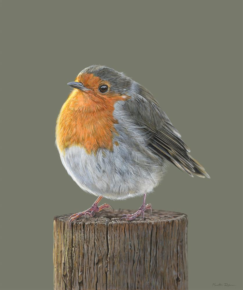 Martin Robson - 'Rosie' - Framed Limited Edition Art