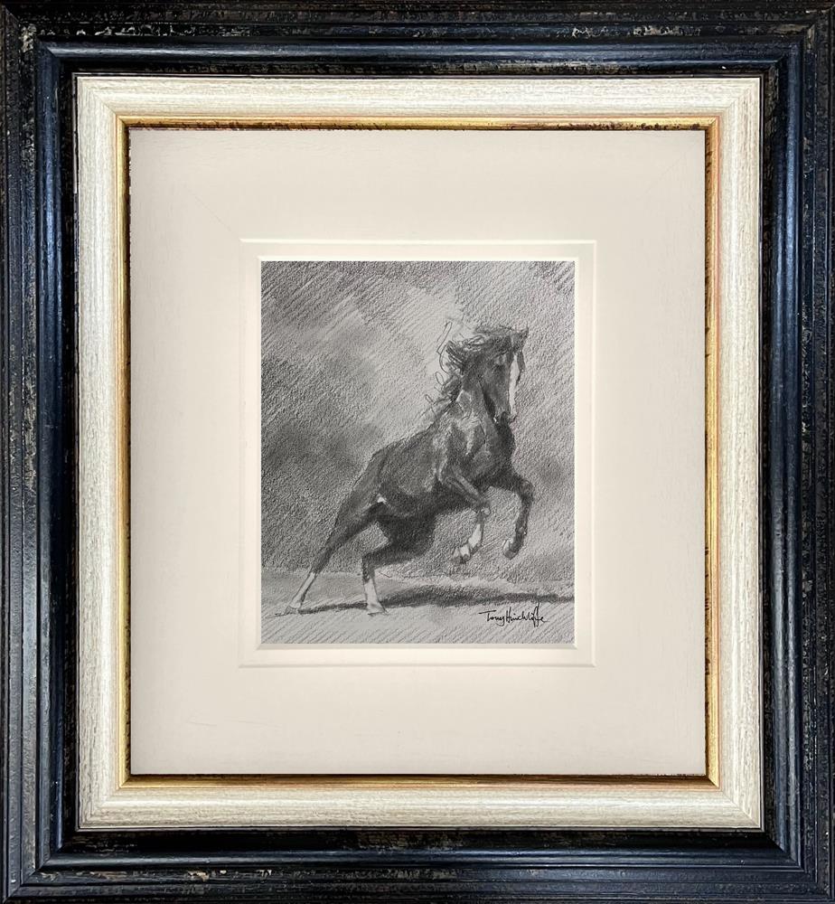 Tony Hinchliffe - 'Seraphina - Study' - Framed Original Artwork