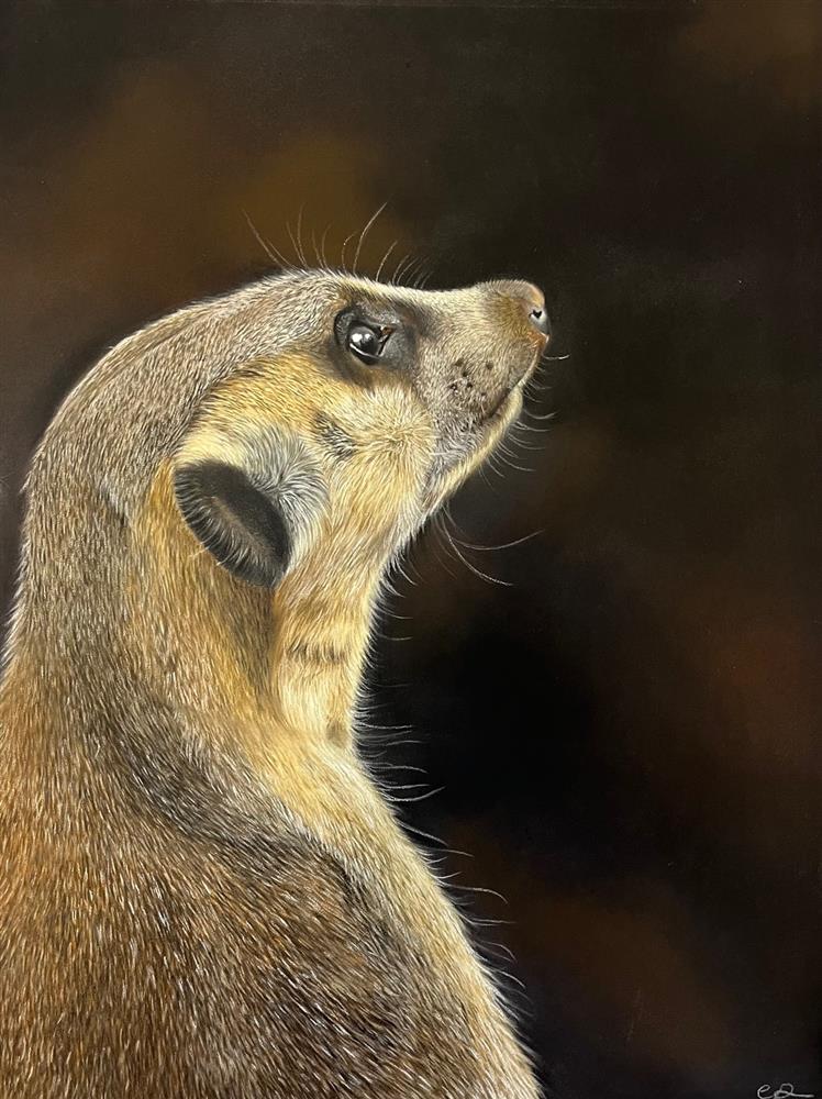 Clare Parkes - 'Small But Mighty' - Framed Original Art