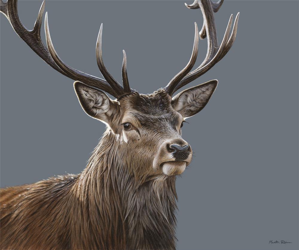 Martin Robson - 'Spirit Of The Forest' - Framed Limited Edition Art