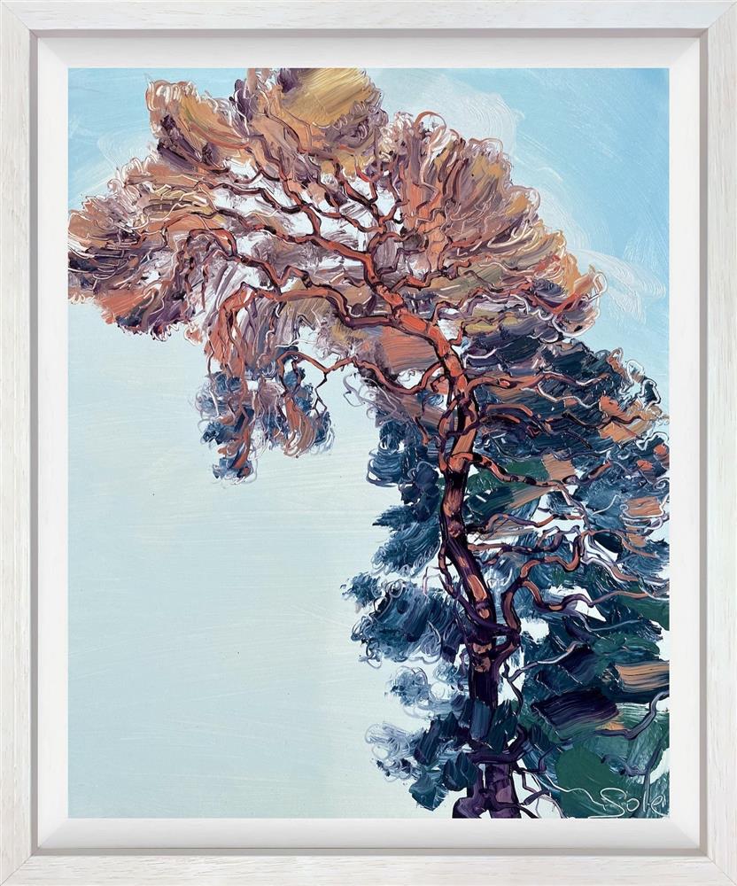 Michael Sole - 'Sunset Pines- Study I' - Framed Original Artwork