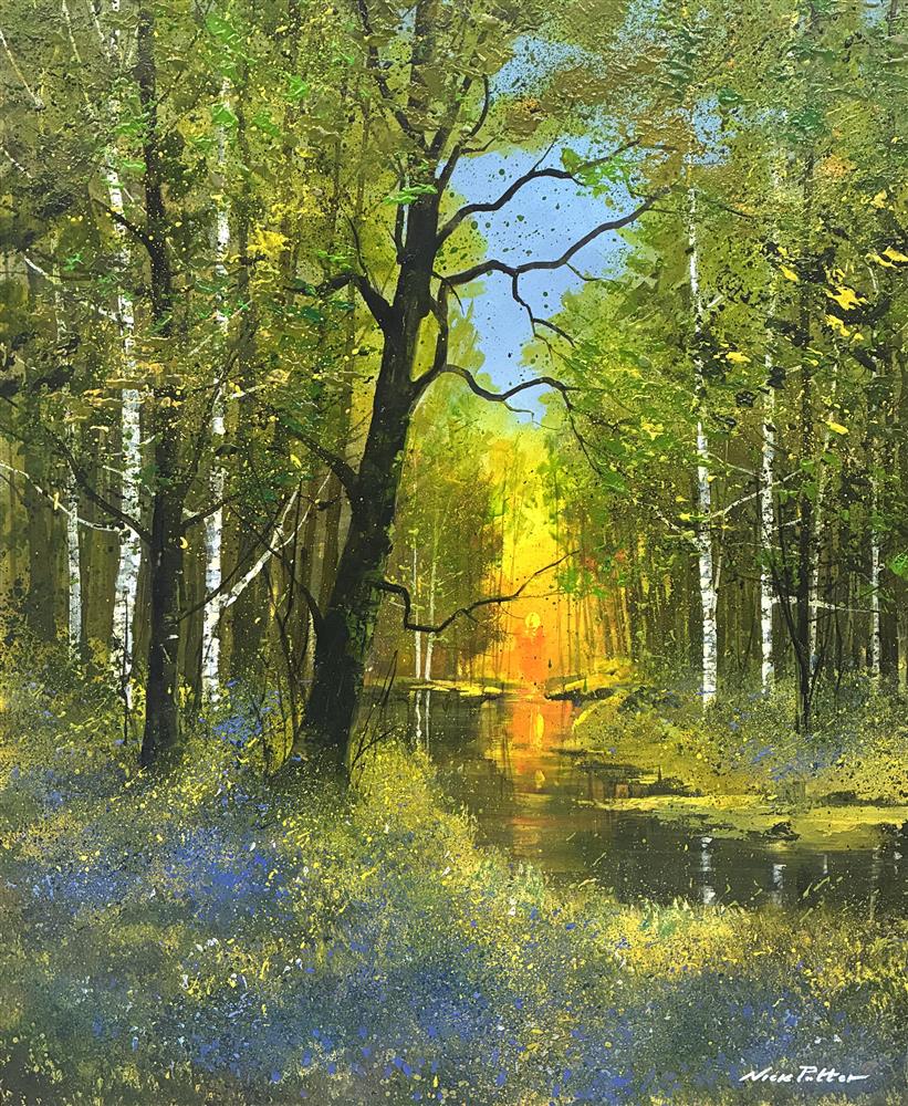 Nick Potter - 'Sunset And Bluebells' - Framed Original Artwork