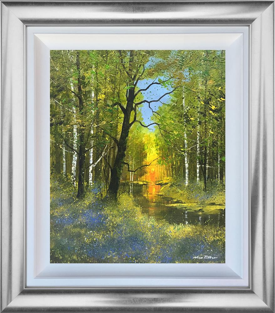 Nick Potter - 'Sunset And Bluebells' - Framed Original Artwork