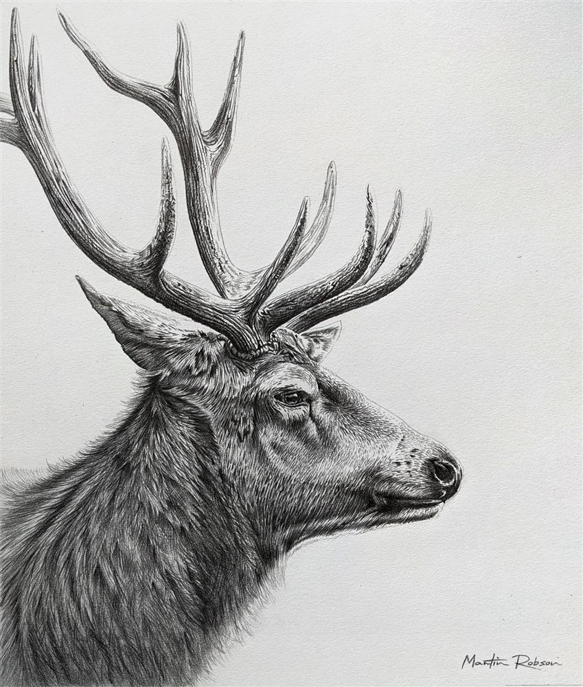 Martin Robson - 'The Noble Stag - Study' - Framed Original Art