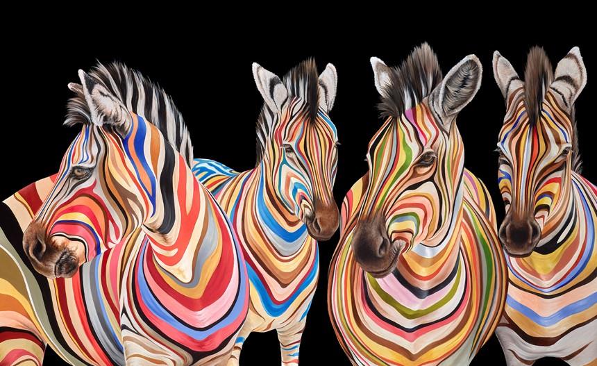 Hayley Goodhead - 'The Savannah Stripes' - Framed Limited Edition