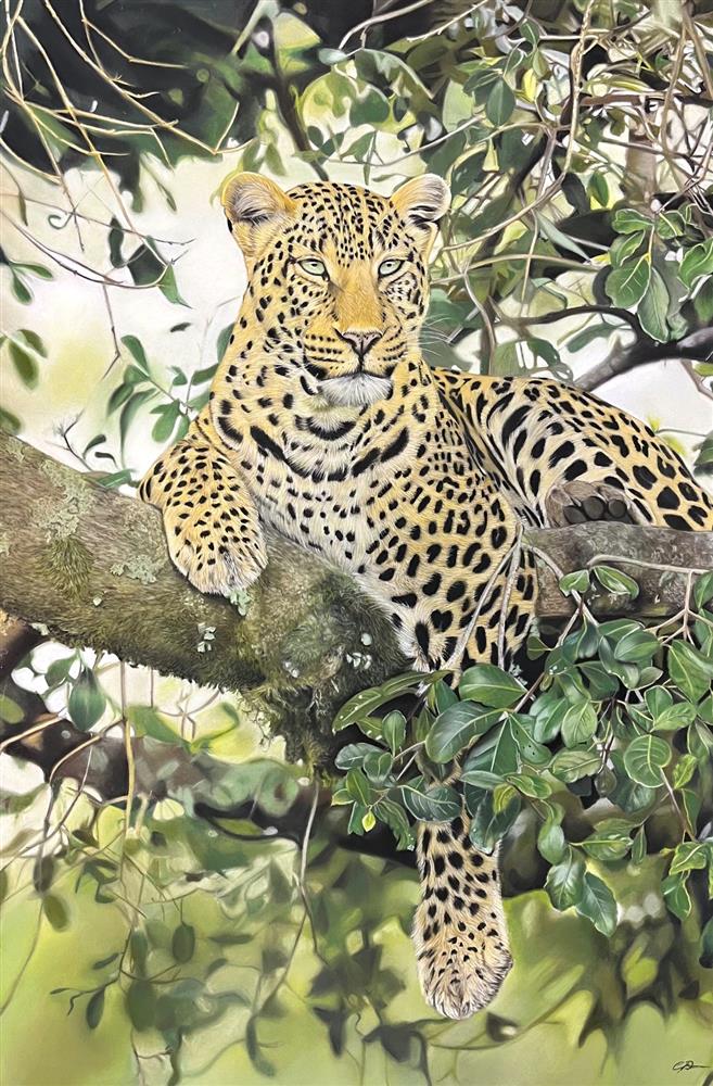 Clare Parkes - 'The View From Above' - Framed Original Art