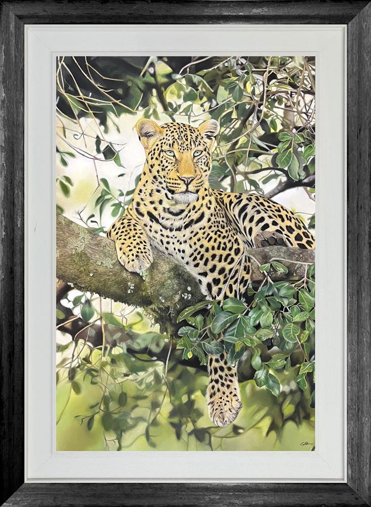 Clare Parkes - 'The View From Above' - Framed Original Art