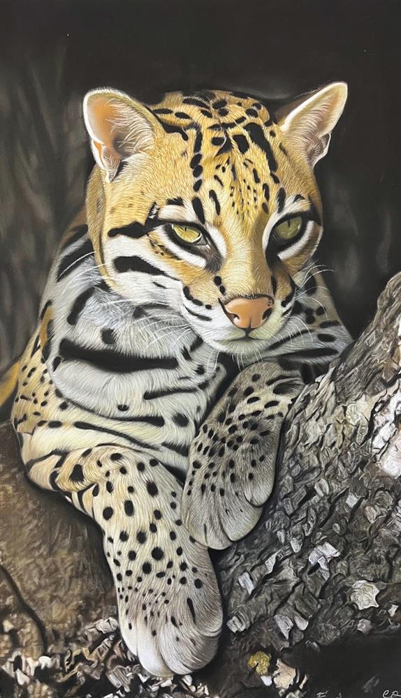 Clare Parkes - 'Waiting For Dusk' - Framed Original Art