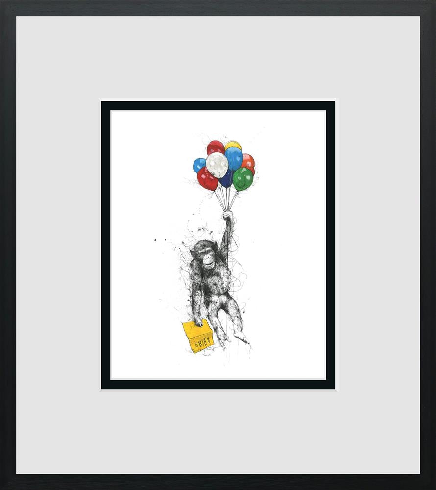 Scott Tetlow - ' Why Walk When You Can Fly' - Miniature - Framed Limited Edition
