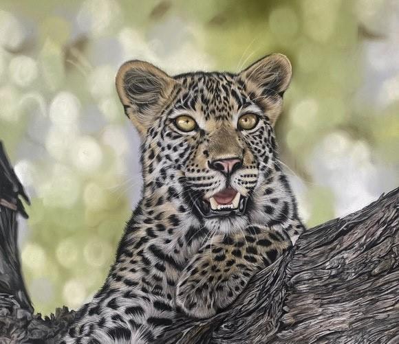 Clare Parkes - 'Wild At Heart' - Framed Original Artwork