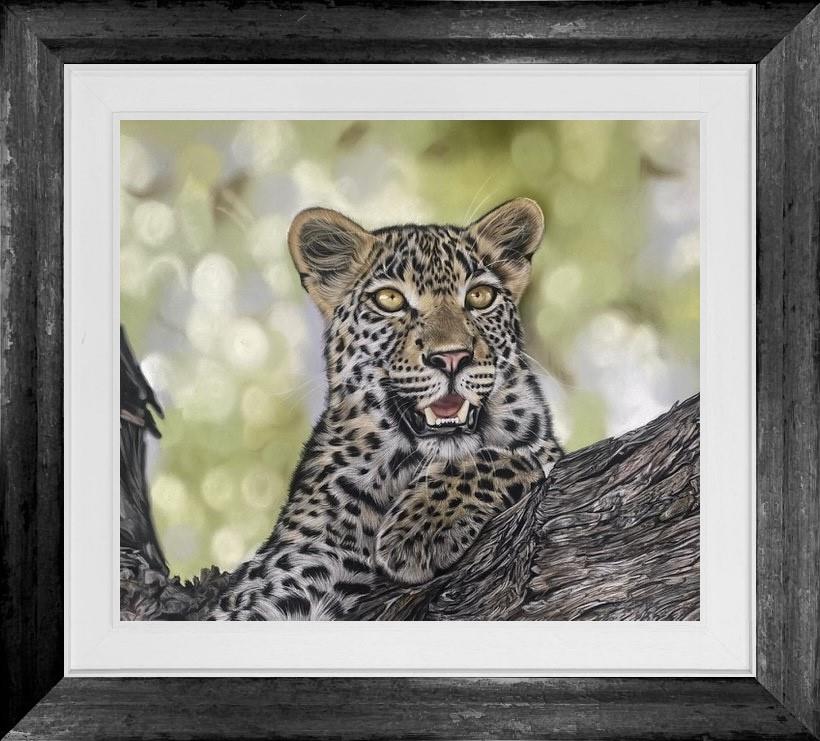 Clare Parkes - 'Wild At Heart' - Framed Original Artwork