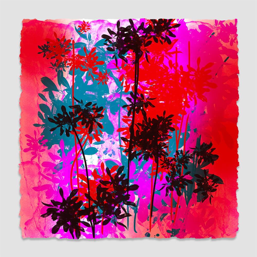 Jean Picton -  'XI - The 90 Years Collection' - Framed Original Art