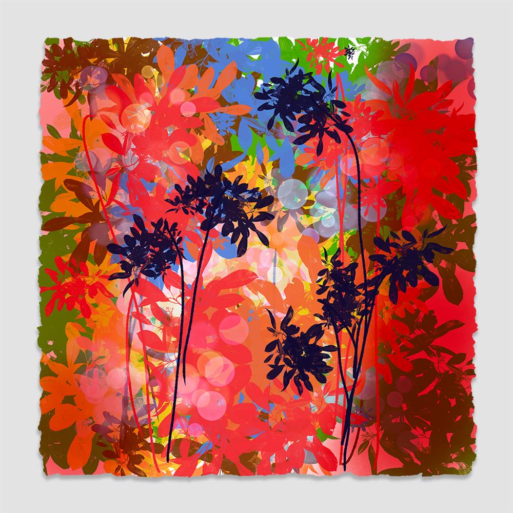 Jean Picton -  'XII - The 90 Years Collection' - Framed Original Art