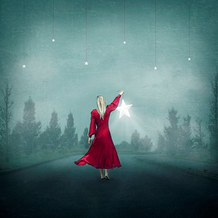 Michelle Mackie - 'Fallen Star' - Framed Limited Edition Art