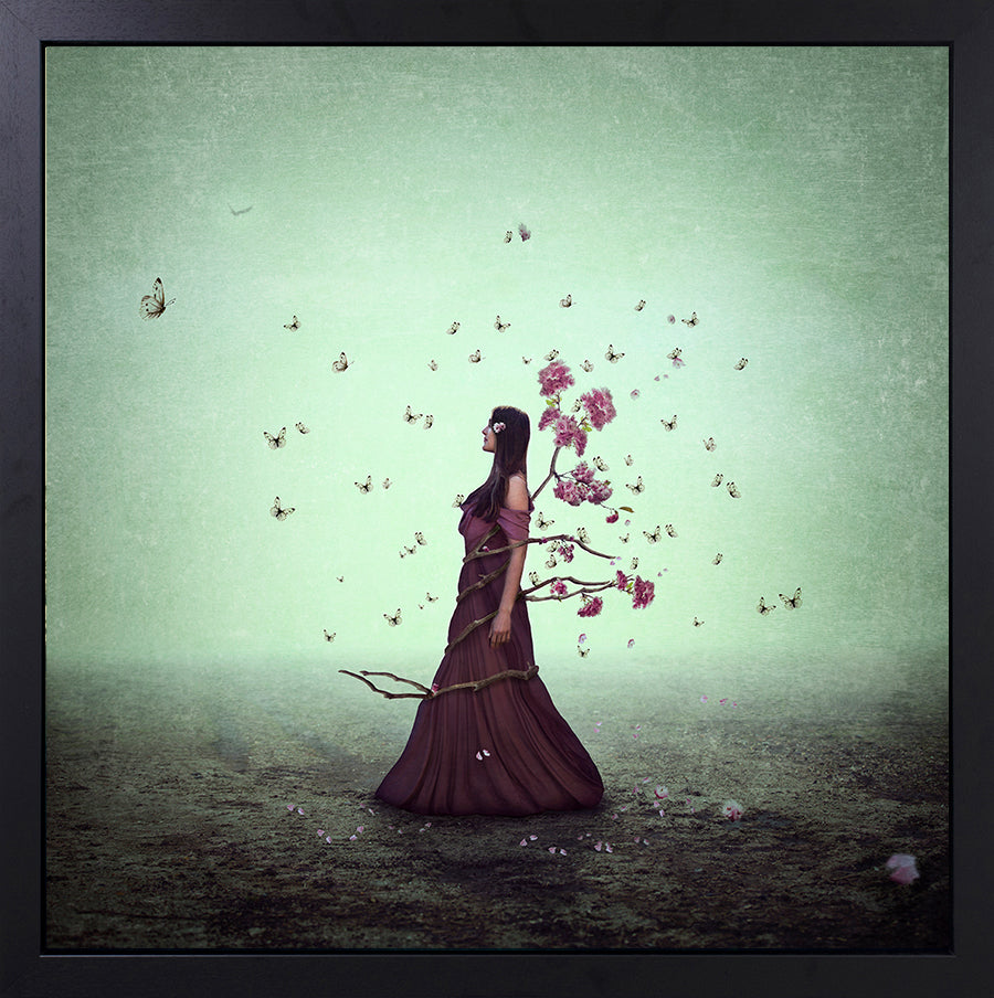 Michelle Mackie - 'In Bloom' - Framed Original